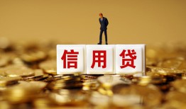 成都民间哪里可以民间借贷-成都民间私人借钱当天拿钱-成都民间贷款联系电话
